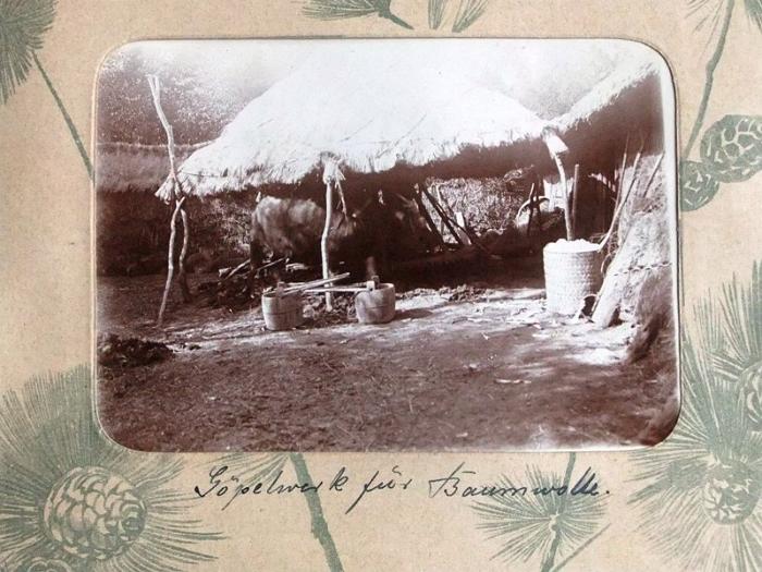 DrRPfeiffer-1899 163